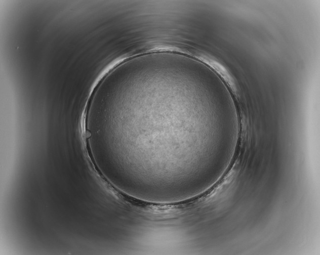 X0000093731198200710161111