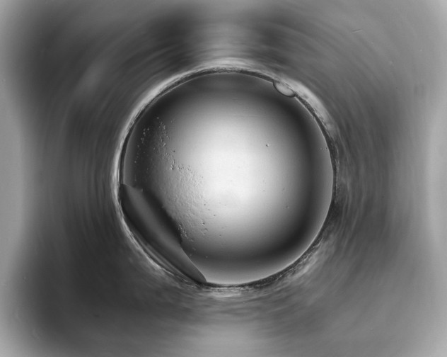 X0000093731199200710161111