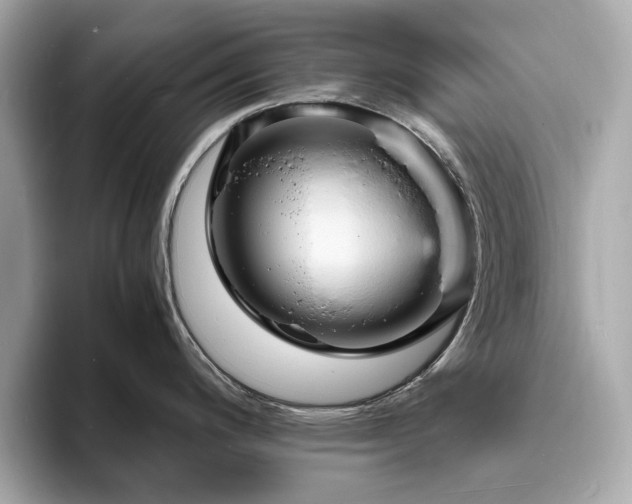 X0000093731200200710161111