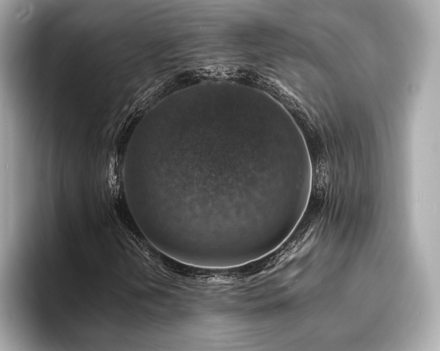 X0000093731202200710161110