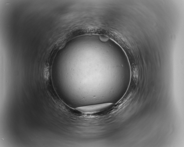 X0000093731204200710161110