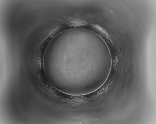 X0000093731205200710161110