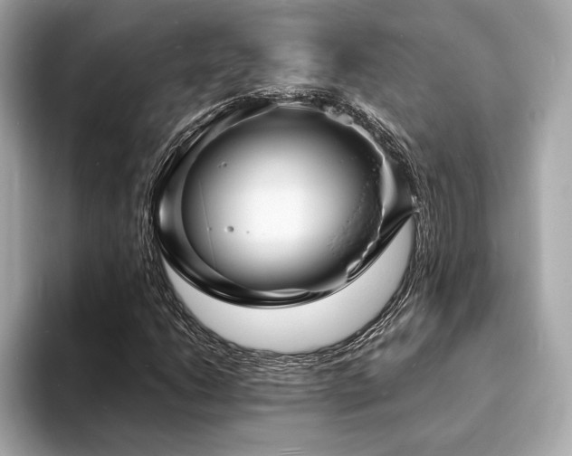 X0000093731206200710161110