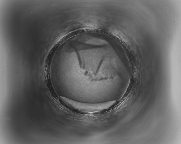 X0000093731208200710161110