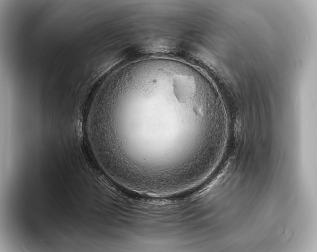 X0000093731209200710161110