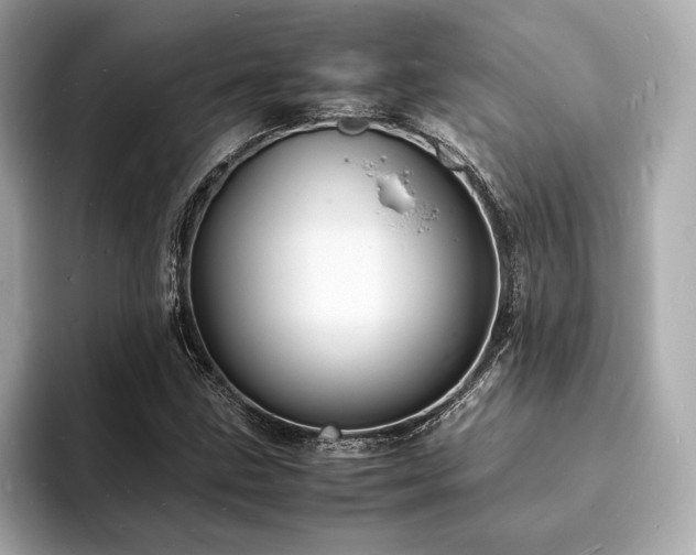 X0000093731211200710161110