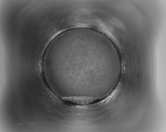 X0000093731212200710161110