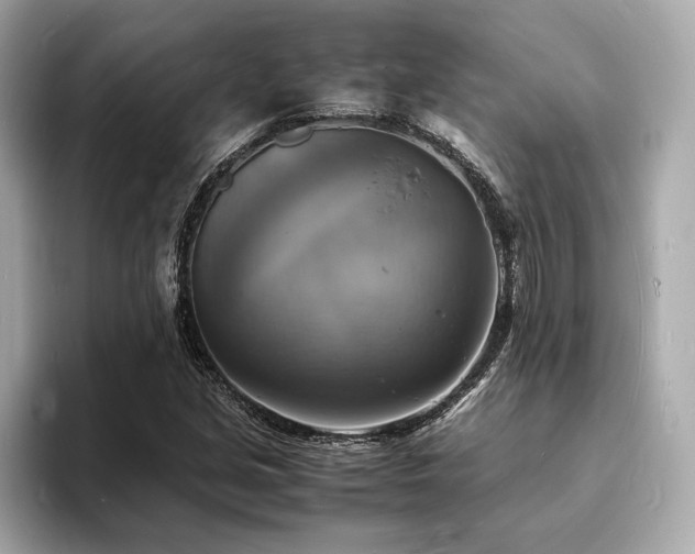 X0000093731213200710161110