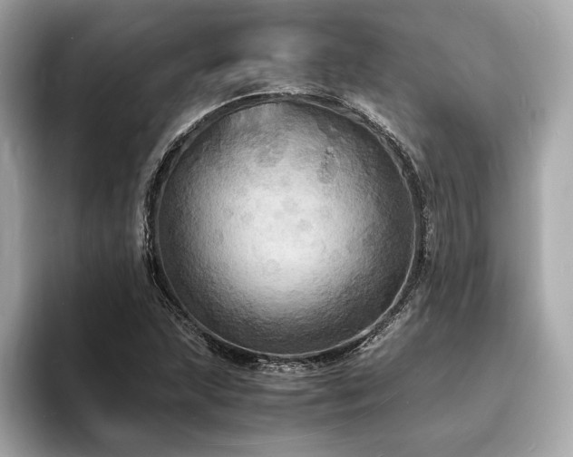X0000093731215200710161110