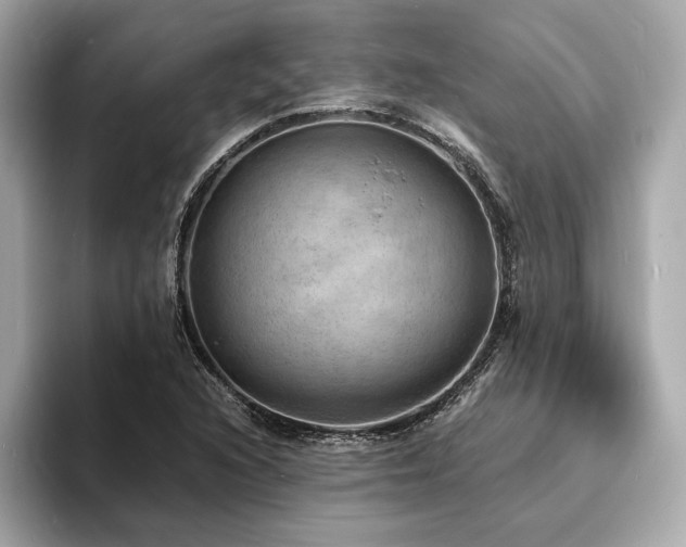 X0000093731216200710161110