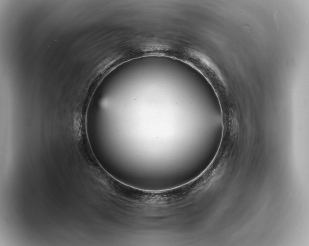 X0000093731217200710161110