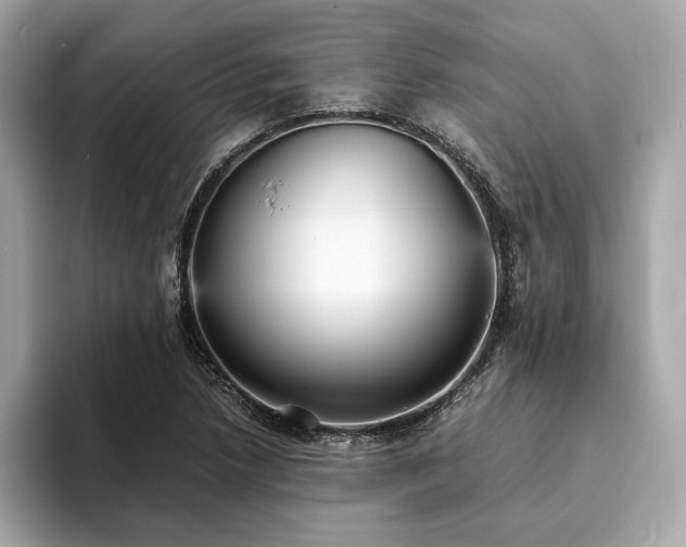 X0000093731218200710161110
