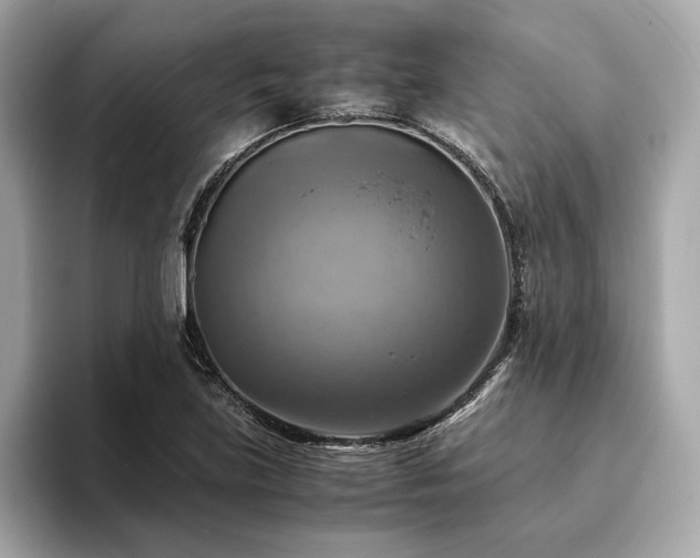 X0000093731219200710161111