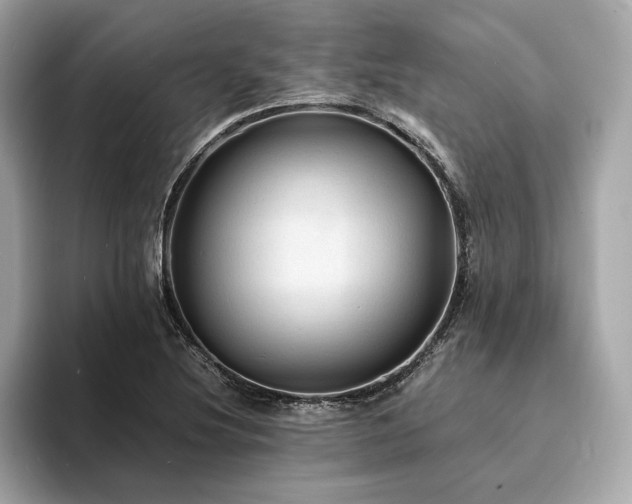 X0000093731220200710161111