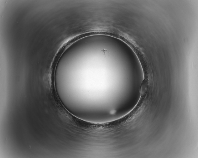 X0000093731222200710161111