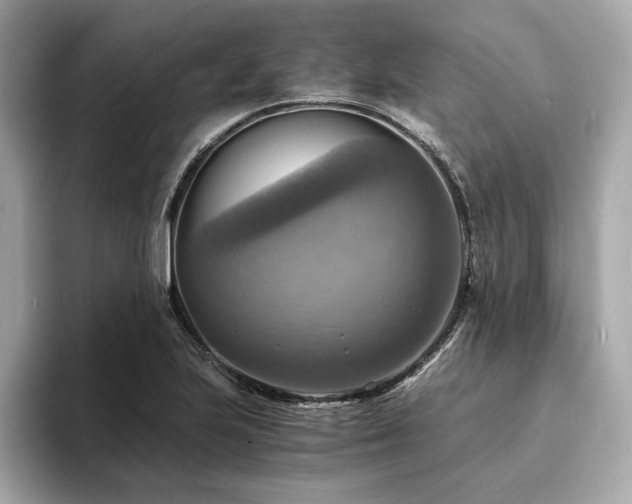 X0000093731223200710161111
