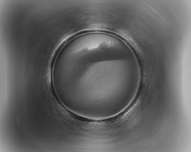 X0000093731224200710161111