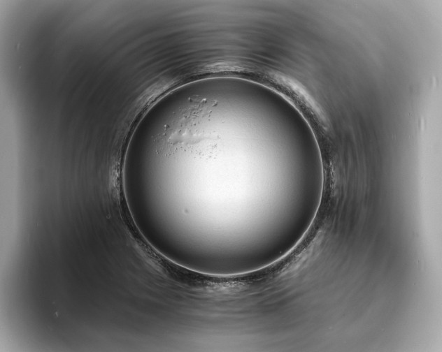 X0000093731225200710161111