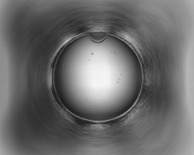 X0000093731227200710161111