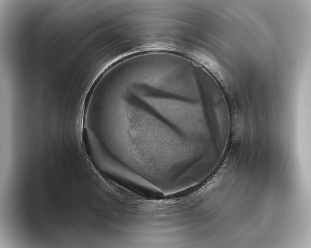 X0000093731228200710161111