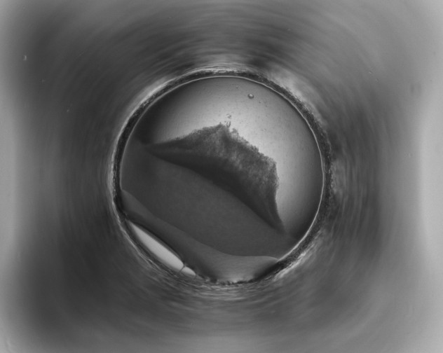 X0000093731229200710161111