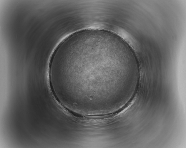 X0000093731232200710161111