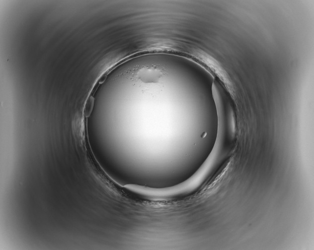 X0000093731234200710161111