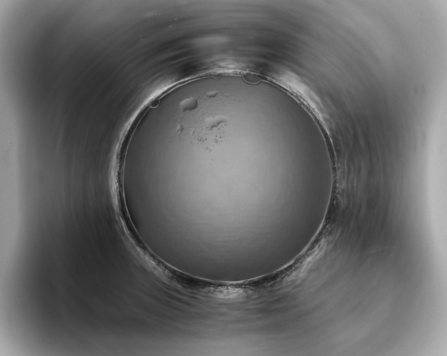 X0000093731235200710161111