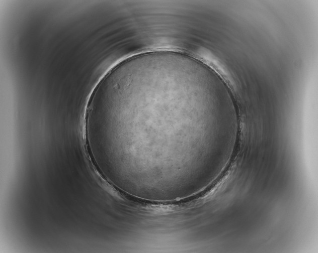 X0000093731236200710161111