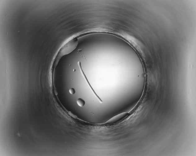 X0000093731238200710161111