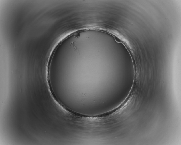 X0000093731239200710161111