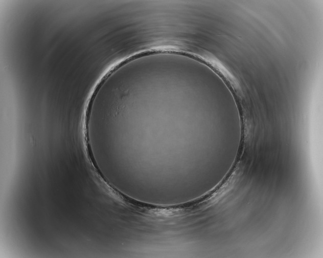 X0000093731240200710161111
