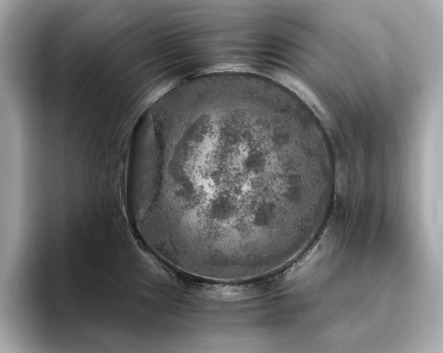 X0000093731241200710161111