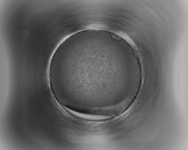 X0000093731248200710161111