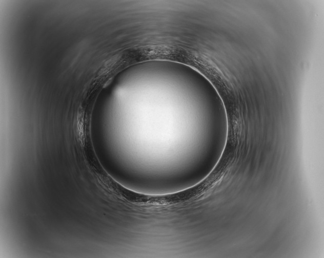 X0000093731250200710161110