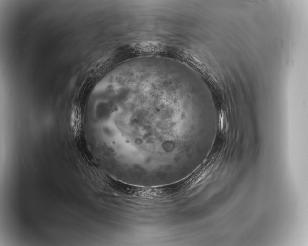 X0000093731251200710161110