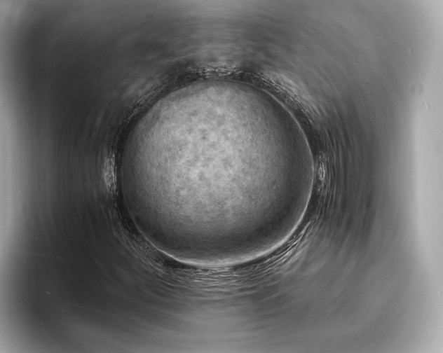 X0000093731252200710161110