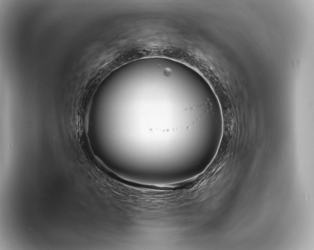 X0000093731253200710161110