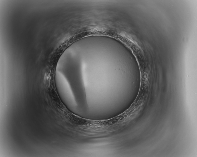 X0000093731254200710161110