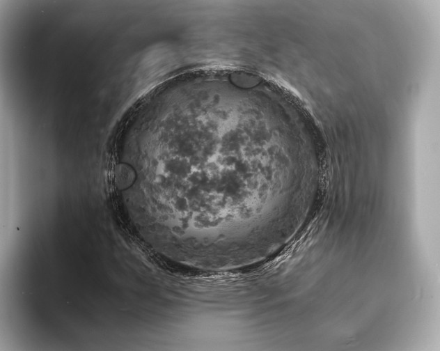 X0000093731255200710161110