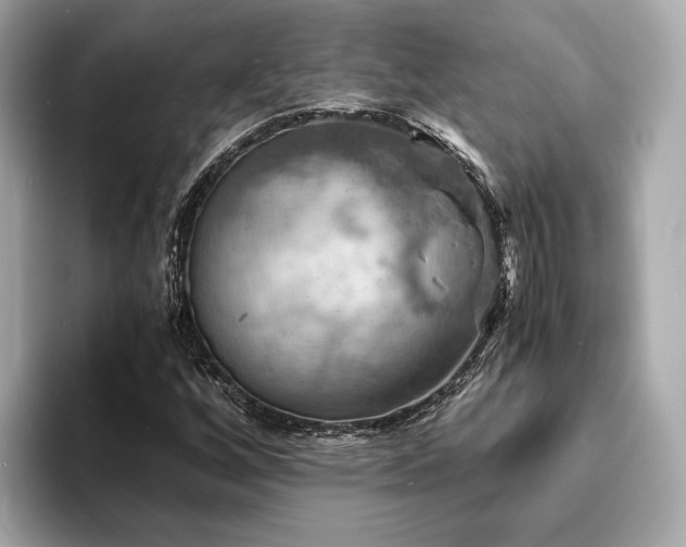 X0000093731256200710161110