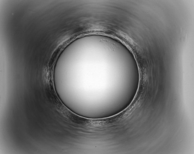 X0000093731258200710161110