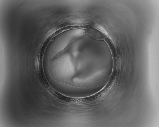 X0000093731259200710161110