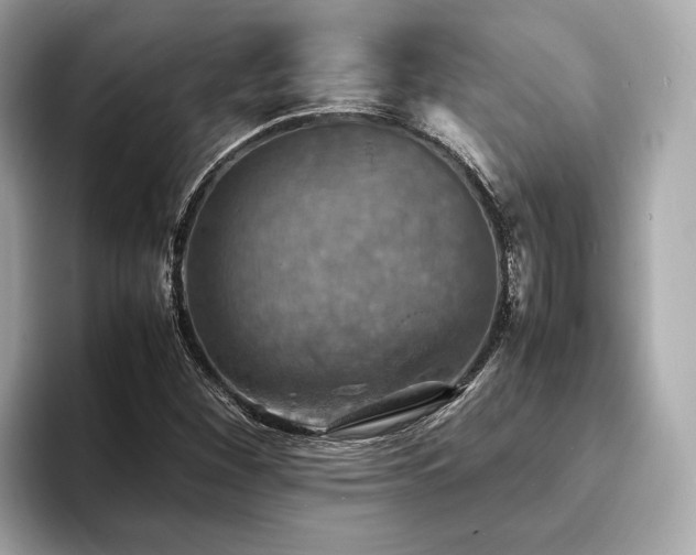 X0000093731260200710161110
