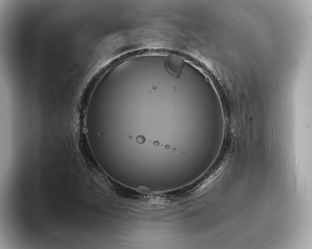 X0000093731263200710161110