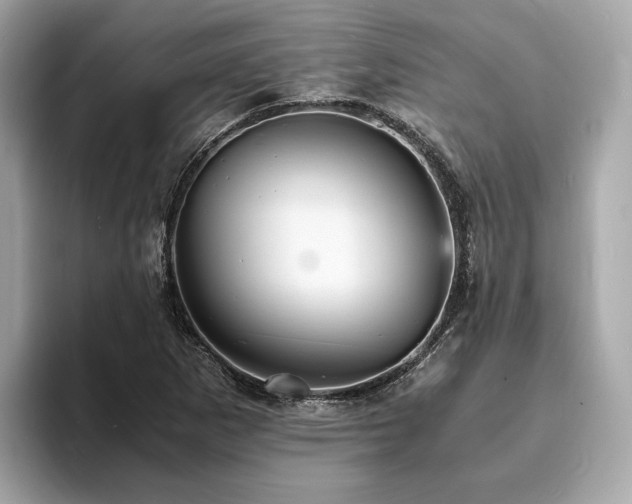X0000093731265200710161110