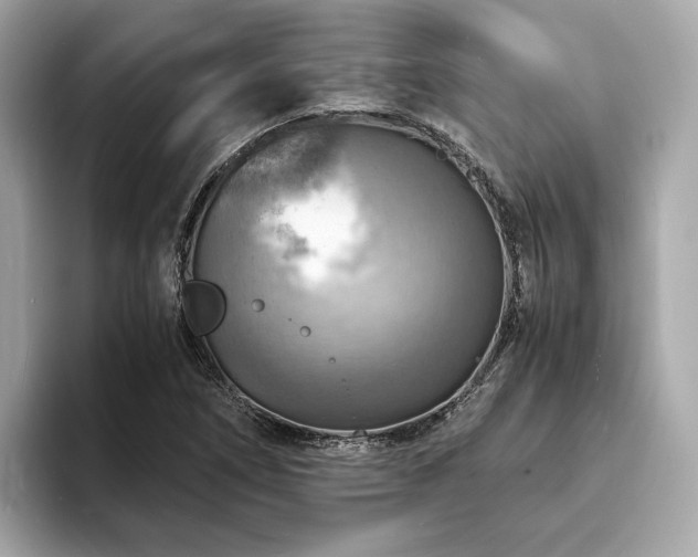 X0000093731266200710161110