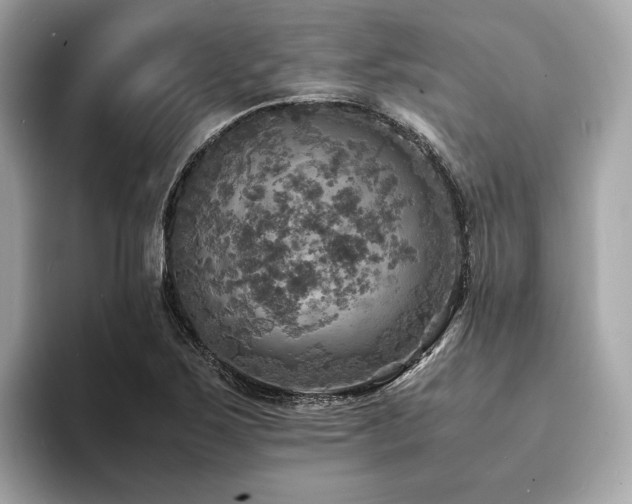 X0000093731267200710161110