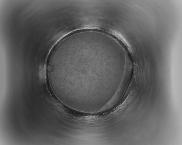 X0000093731268200710161110