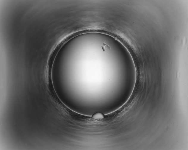X0000093731270200710161110